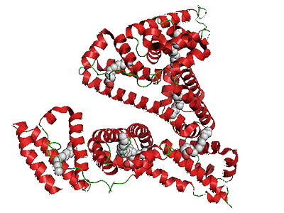 semaglutide